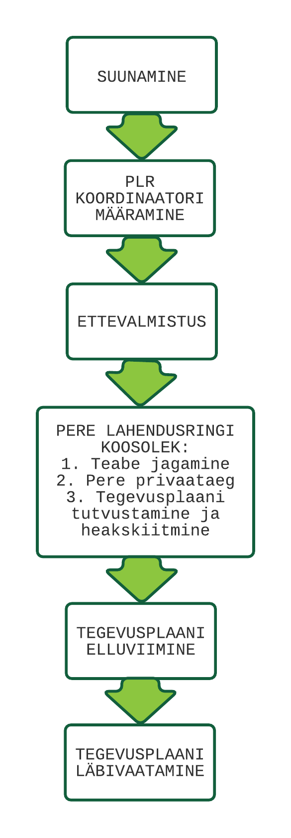 Joonis 1. Pere lahendusringi protsess