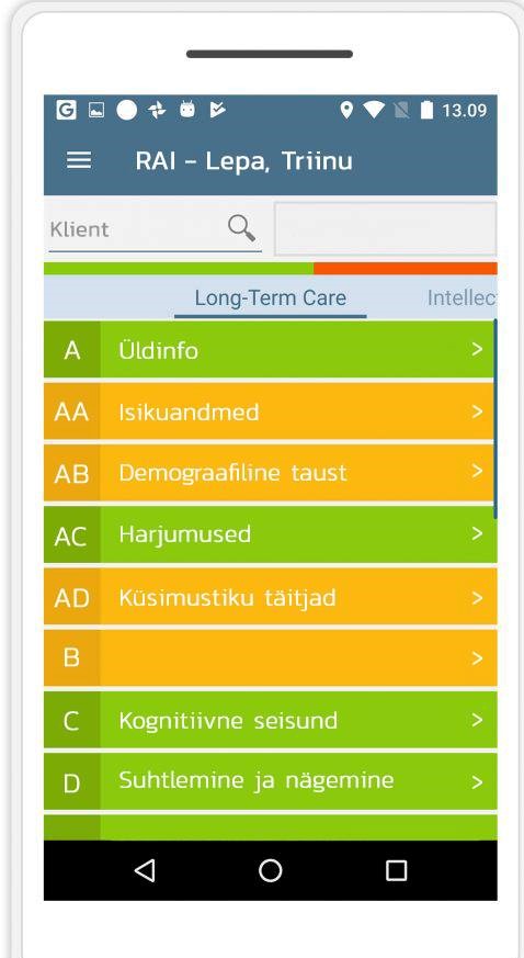 RAI hindamismõõdik