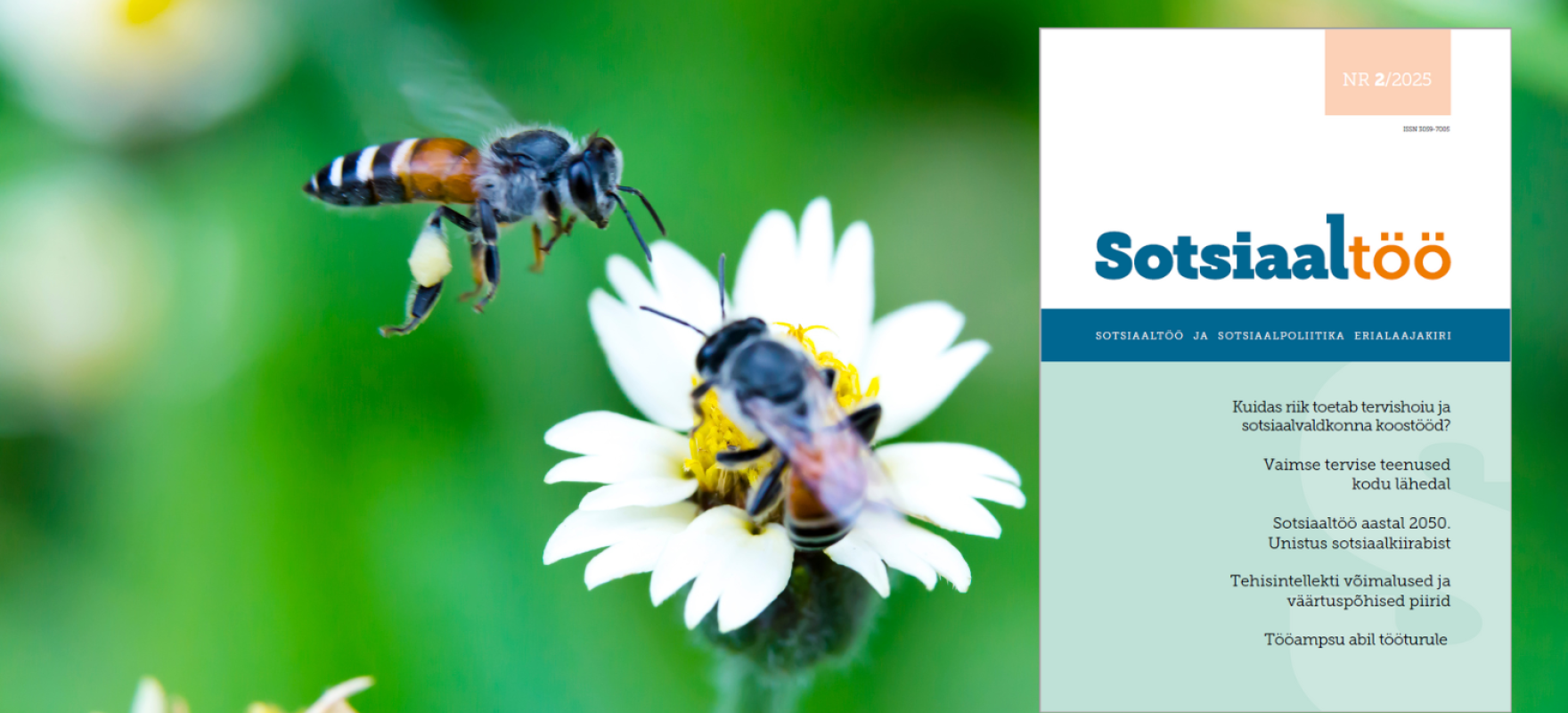 sotsiaaltöö uue numbri pilt