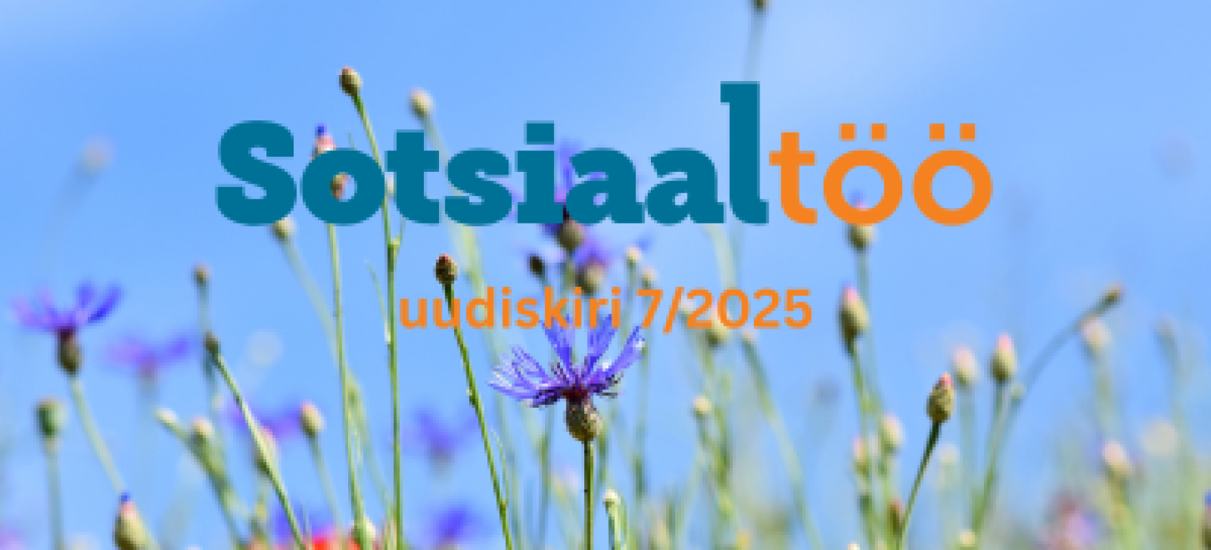 Sotsiaaltöö uudiskirja pilt