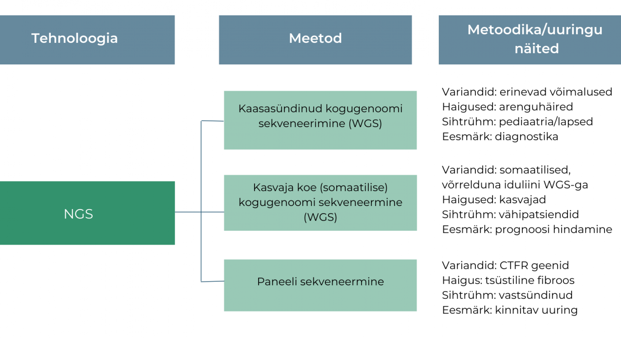 tehnoloogia meetod metoodika joonis