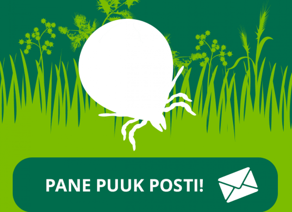 pane puuk posti 20